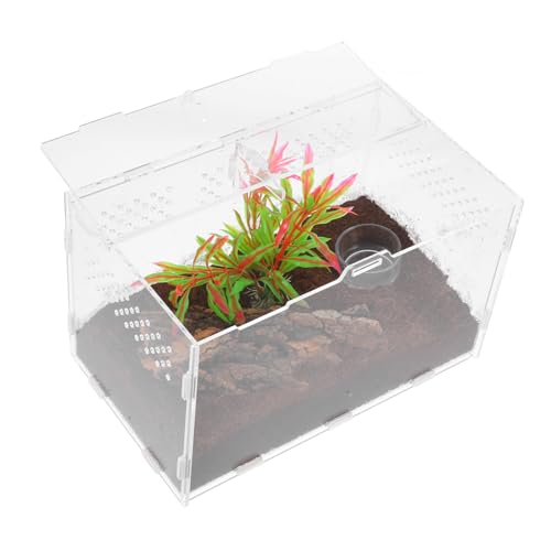 BELLIFFY Transparentes Terrarium Schildkrötenkäfige Und Lebensräume Spinnen Terrarien Einsiedlerkrebskäfig Inkubator Für Schildkröteneier Reptilienterrarium Reptilienbecken Gehäuse Acryl von BELLIFFY