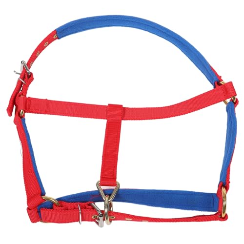 BELLIFFY Horse Gear Safety Horse Tragbares Verstellbares Halsband für Pferdetrainingsgeräte von BELLIFFY