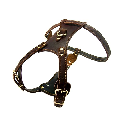 BELLIFFY modisches Hundehalsband Hunde Dog Training Collar für Haustiere Verstellbarer Hunde-Halsband PU-Geschirr Hundebrillen-Brustgurt Gürtelgeschirr Brown von BELLIFFY