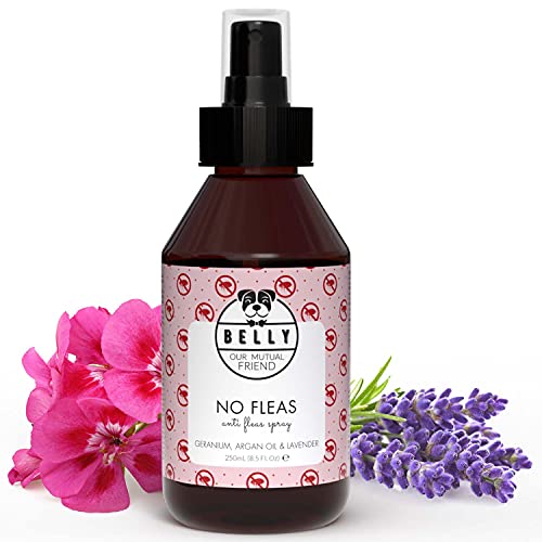 Belly Flohmittel für Hunde - 250ml - Floh- und Zeckenschutz ohne Flecken oder Rückstände, Flohspray wehrt Flöhe, Zecken und Mücken ab, vegan von BELLY OUR MUTUAL FRIEND