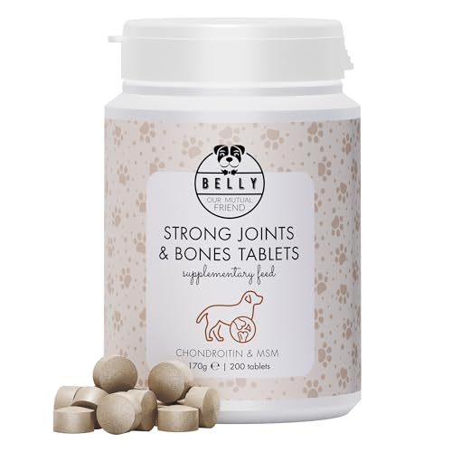 Belly Gelenktabletten Hund mit MSM - 100 Tabletten - Starke Knochen & Gelenke mit Gelenktabletten für Hunde, Joint Care Hund, Gelenk- & Knochenschutz für Hunde mit MSM, Glucosamin, Chondroitin, Hefe von BELLY OUR MUTUAL FRIEND