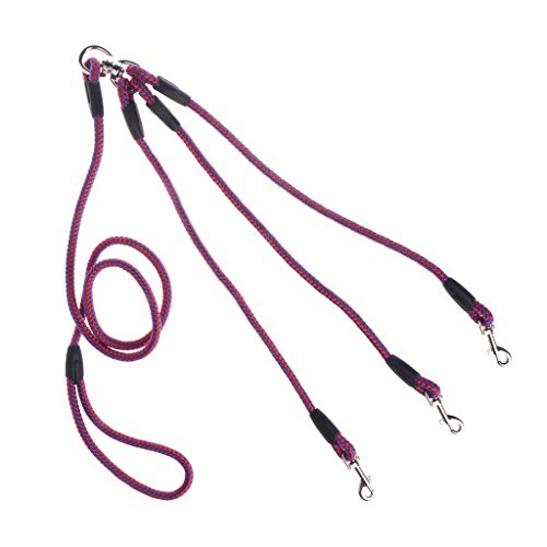 BELTI Triple Dogs Leash Coupler Lead mit weichem Nylongriff zum Gehen von 3 Hunden nach draußen von Belti