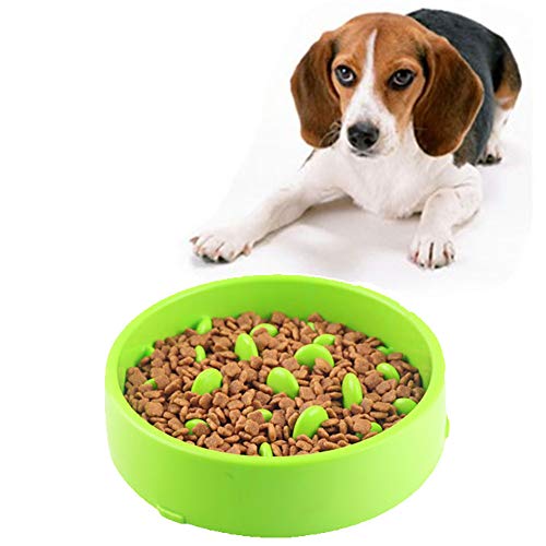 Anti Schling Napf Katzen Anti Schling Napf Hunde Hundenäpfe rutschfest Dog Treat Puzzle Spielzeug Hund Anti Choke Bowl Katzenfutterschale Green von BENHAI