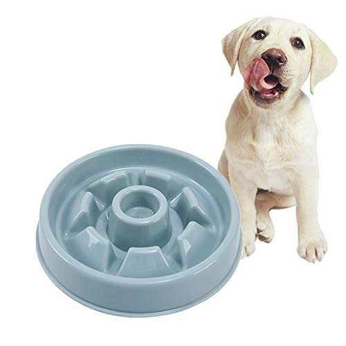 Antischlingnapf Hunde Katzennapf rutschfest Welpenfutter Wet Bowl Anti Gulp Hundenapf Große Hundenapf Hundenäpfe rutschfest rutschfeste Schüssel Blue-1 von BENHAI