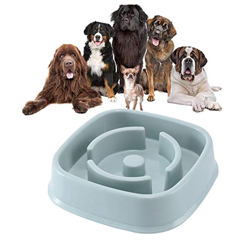 Antischlingnapf Hunde Katzennapf rutschfest Welpenfutter Wet Bowl Anti Gulp Hundenapf Große Hundenapf Hundenäpfe rutschfest rutschfeste Schüssel Blue-4 von BENHAI