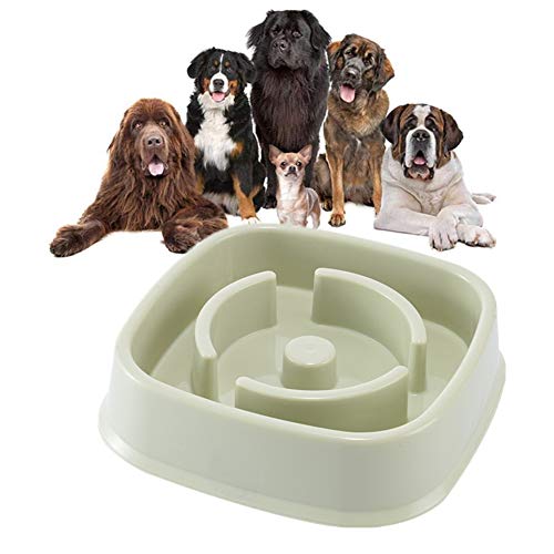 Antischlingnapf Hunde Katzennapf rutschfest Welpenfutter Wet Bowl Anti Gulp Hundenapf Große Hundenapf Hundenäpfe rutschfest rutschfeste Schüssel Green-4 von BENHAI