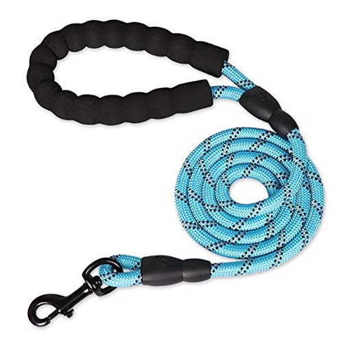 Hundeleine Große Hunde Hundeleine Kleine Hund Hundeleine bequem Hundeleine für kleine Hunde Hund führt stark Gepolsterte Hundeleine Seil Hund führen Blue,12mm-120cm von BENHAI