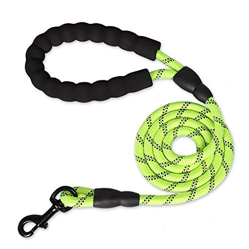 Hundeleine Große Hunde Hundeleine Kleine Hund Hundeleine bequem Hundeleine für kleine Hunde Hund führt stark Gepolsterte Hundeleine Seil Hund führen Green,10mm-120cm von BENHAI