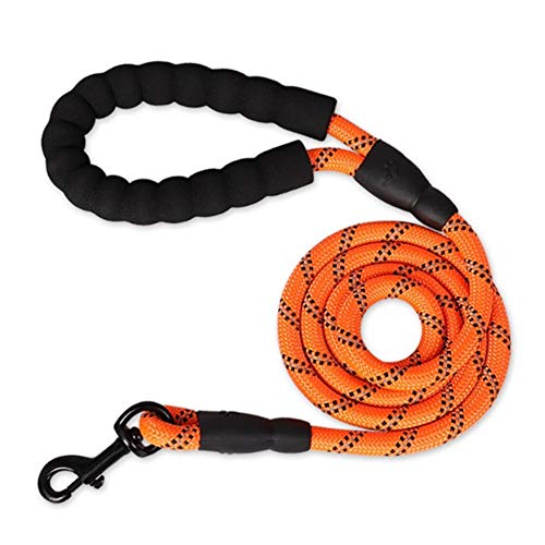 Hundeleine Große Hunde Hundeleine Kleine Hund Hundeleine bequem Hundeleine für kleine Hunde Hund führt stark Gepolsterte Hundeleine Seil Hund führen orange,10mm-150cm von BENHAI