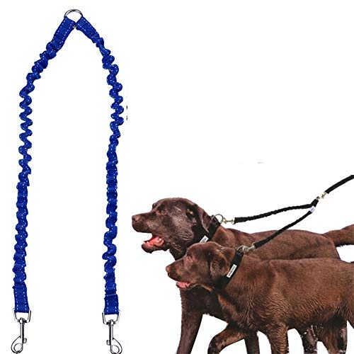 Hundeleine Hunde Leine Hundeleine bequem Dog Slip Lead Leine für große Hunde Hundetraining Lead Slip Lead für Hunde Hund Bungee Blei Hund führt stark Blue von BENHAI