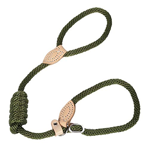 Hundeleine Hundeleine Große Hunde Dog Slip Lead Seil Hund führen Hundeleine für kleine Hunde Hund führt Rutschseil Anti-Pull-Hundeleine Green,l von BENHAI