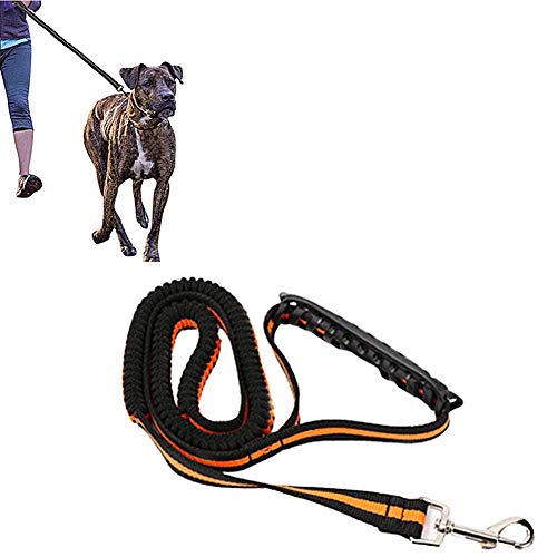 Hundeleine Kleine Hund Hundeleine Slip Lead für Hunde Hundeleine für kleine Hunde Hund führt stark Leine für große Hunde Seil Hund führen orange von BENHAI