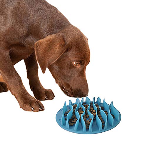 Hundenapf Futternapf Hund Hundenäpfe rutschfest Puzzleschalen für Hunde Hundenäpfe Medium Welpenfutter Wet Bowl Katzen Puzzle Feeder Blue,s von BENHAI