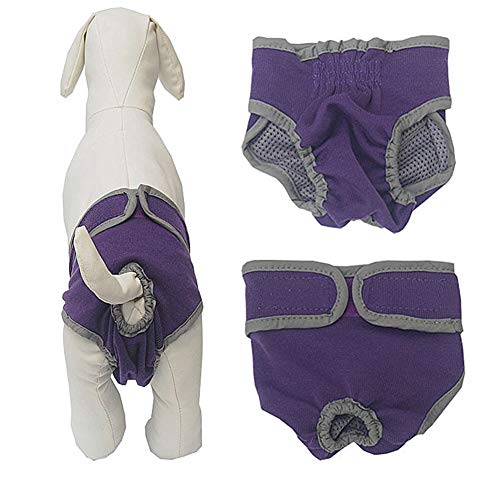 Hundewindeln FüR HüNdinnen Inkontinenz Hundewindeln FüR HüNdinnen Windeln für Rüden Hunde Periode Hosen Hundesaison Hosen Windel Hündin Purple,XL von BENHAI