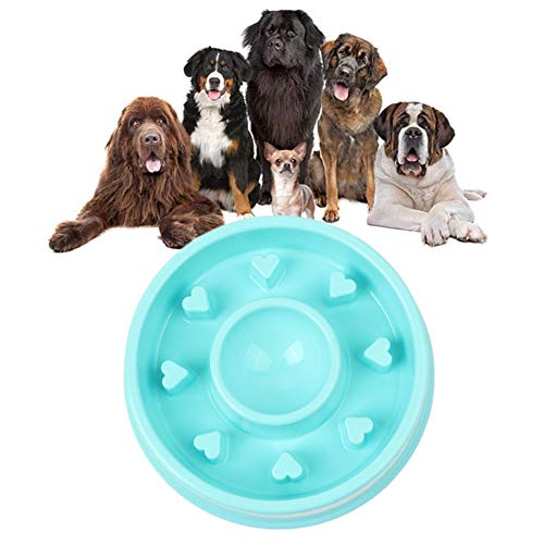 Katzennapf Hundenapf Hund Anti Choke Bowl Puzzleschalen für Hunde Hund Puzzle Feeder Dog Treat Puzzle Spielzeug Katzen Puzzle Feeder Blue-b von BENHAI