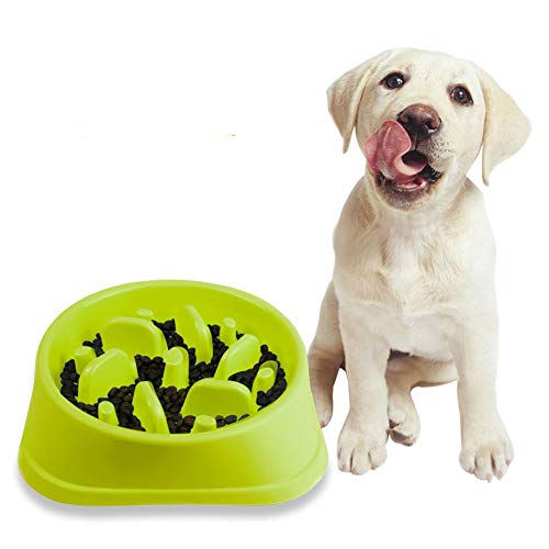 Katzennapf Hundenapf Hund Anti Choke Bowl Puzzleschalen für Hunde Hund Puzzle Feeder Dog Treat Puzzle Spielzeug Katzen Puzzle Feeder Green-c von BENHAI