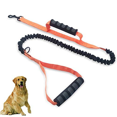 Laufleine Für Hunde Hunde Leine Dog Slip Lead Hund führt Rutschseil Slip Lead für Hunde Lange Hundeleine Leine für große Hunde Hund führt stark orange von BENHAI