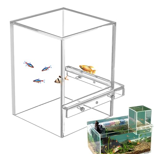 BERAC Fisch-Aufzug umgekehrt, Fischglas-Aquarium, vakuumhängendes Aquarium, leichtes tropisches Aquarium, Acryl, kleine transparente Fischschalen für Süßwasserpflege von BERAC