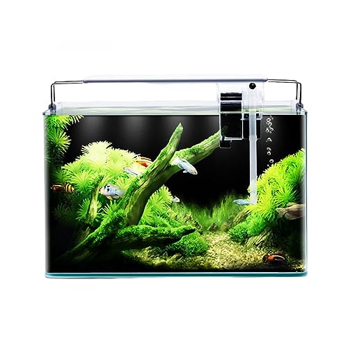 BERO Fischtank Wohnzimmer Fischtank Transparent Hot Bend Rechteckig Glas Goldfisch Tank Schreibtisch Aquarium Haushalt Aquascape Dekoration-B||20 * 14 * 16cm von BERO