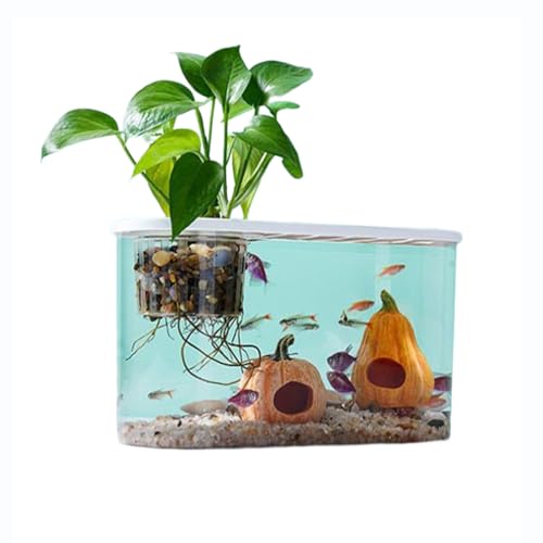 BERO Pumpkin House Fish Tank Wohnzimmer Haushalt Lazy Desktop Plastic Small and Medium Sized Aquascape Aquarium Eco Creative Goldfish Aquarium-Large von BERO