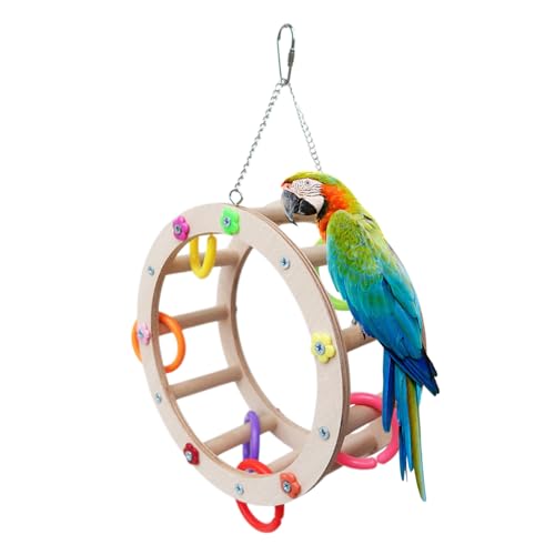 Vogelspielzeug Riesenrad,Papageienschaukel-Kauspielzeug | Vogelfutter Spielzeug Papagei Riesenrad Spielzeug für Eichhörnchen Papagei, Spatz, Sittich Bero von BERO