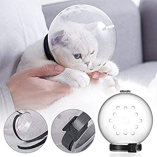 BERULL Klare Katze Mündchen Atmungsaktive Anti-Lecking Space Hood Anti-Bisspflege Maske Haustier Kätzchenabdeckung Für Badereinigung Pet Supply (Size : M) von BERULL