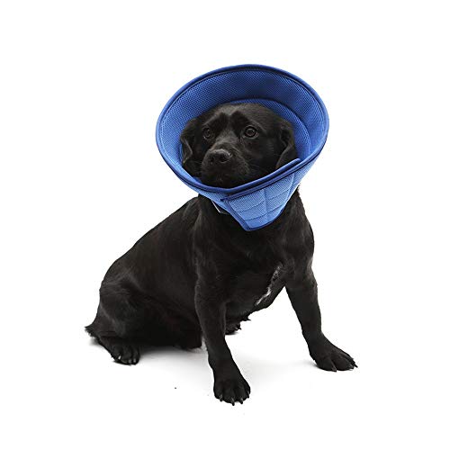Breathable Dog Cone Einstellbare E-Kragen-Schutzhalsband for Hund Katze Quicker Healing Pet Erholung Kegel Elisabethanischen Collar (Color : Blue, Size : 6#) von BERULL
