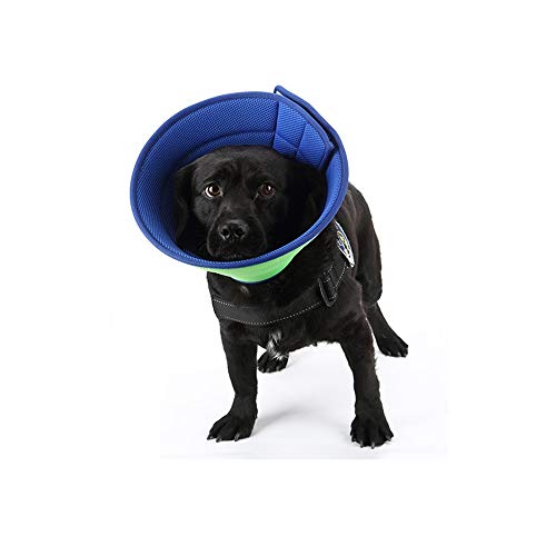 Breathable Dog Cone Einstellbare E-Kragen-Schutzhalsband for Hund Katze Quicker Healing Pet Erholung Kegel Elisabethanischen Collar (Color : Green+Blue, Size : 7#) von BERULL
