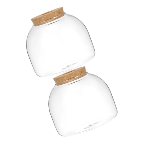 2St Ökologische Mikrolandschaftsflasche Desktop-Sukkulentenflasche kleines Terrarium Mini Tischaquarium hochzeitsdeko hohzeitdeko Flasche Moospflanze Pflanzenterrarium Holz BESPORTBLE von BESPORTBLE