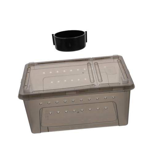 2er-Box Futterbox Für Reptilien Reptilienbecken Eidechsen-Terrarium Fall Einer Reptilienzucht Futterautomat Für Haustiere Reptilienterrarium Tank Brüterei Dark Grey Plastik BESPORTBLE von BESPORTBLE