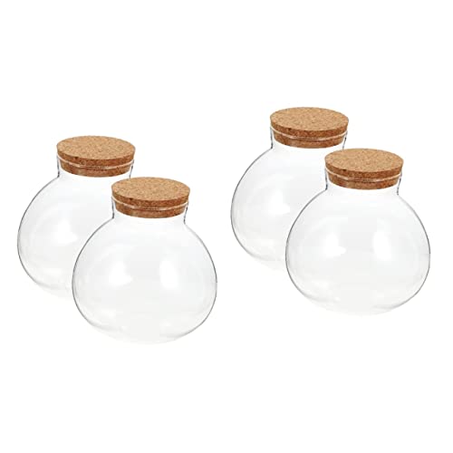 4 Stück Ökologische Mikrolandschaftsflasche Pflanzkübelmoos Gunstglas Aus Glas Blumenpflanzer Klare Blumenvase Transparenter Terrarienbehälter Pflanzenterrarium Kaktus Kork von BESPORTBLE