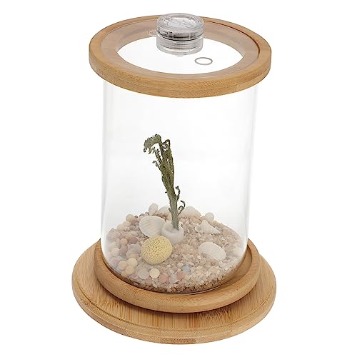 BESPORTBLE Elegantes Rundes Aquarium Für Den Schreibtisch Aquarium -licht Aquarium-Dekoration Zubehör Stabiles Glas Fischglas von BESPORTBLE