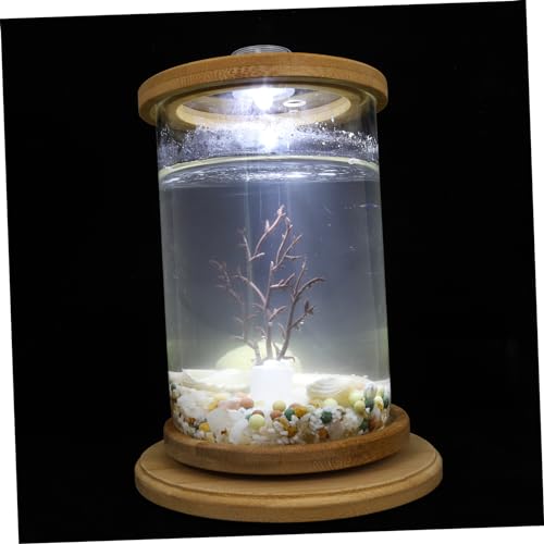 BESPORTBLE 1 Satz Desktop Micro View Aquarium Fischglas für den Haushalt dekorative klare Vase bürodekorationen Dekoration Schlafzimmer Bausatz Bürozubehör dekoratives Aquarium Desktop- von BESPORTBLE