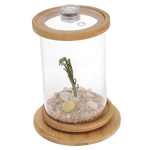 BESPORTBLE 1 Satz Desktop Micro View Aquarium Künstliche Pflanzen Mini-Aquarium Kleine Behälter Durchsichtiger Fisch Kunstpflanze Desktop-Aquarium-kit Klarer Behälter Haushaltsfischaquarium von BESPORTBLE