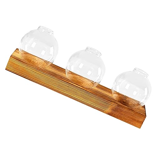 BESPORTBLE Elegante 1 Set Von Glas Pflanze Holz Basis Hydrokultur Indoor Pflanze Terrarien für Decor von BESPORTBLE