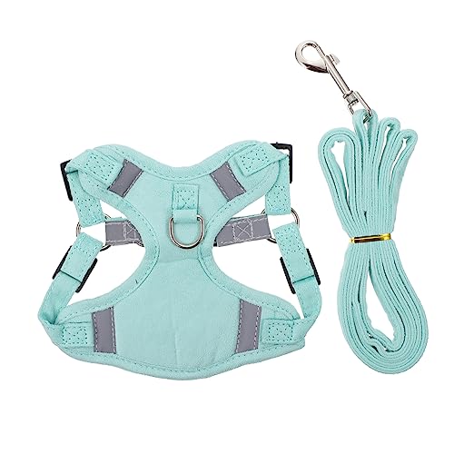 BESPORTBLE 1 Satz Katzenleine Hundegeschirr Seil Laufgeschirr für Katzen Katze führleine cat Leash cat Harnesses Leine für Katzengeschirr Outdoor-Gehgeschirr reflektierender Stoff Light Green von BESPORTBLE