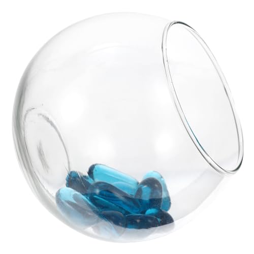 BESPORTBLE 1 Set Runder Glasfischtank Pflanzenhalter Für Fischtanks Transparente Becher Einzigartiger Aquarium Heizer Für Fischtank Starter Kiessauger Fischtank Betta Tank Schüssel von BESPORTBLE