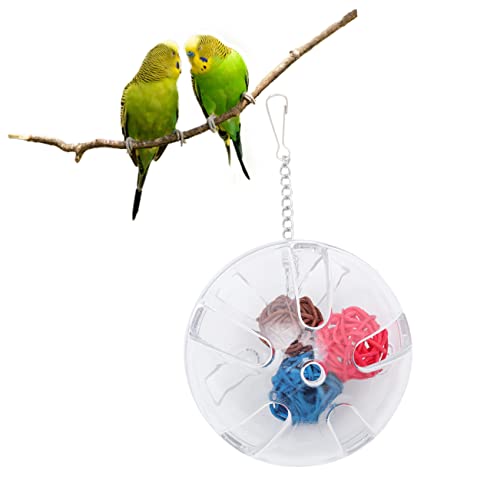 BESPORTBLE Vogel Spielzeug Vogel Papagei Feeder Papagei Futtersuche Box Spielzeug Tragbare und BESPORTBLE Vogel Spielzeug Vogel Papagei Feeder Papagei Futtersuche Box Spielzeug Tragbare und von BESPORTBLE