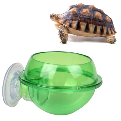 BESPORTBLE 1 Stück Kleiner Trinknapf für Haustiere Suction Cup saugnäpfe Sucker futtercontainer Futter Container futterbehälter Futterspender für Eidechsenfutter Reptilienfutterautomat Green von BESPORTBLE