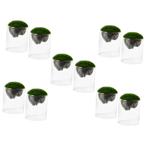 BESPORTBLE 10 STK Moosflasche Terrarium Glasflaschen hängender Blumentopf hängende Terrarienkugel Pflanzendekor Glasflasche für Moos Flasche aus Moosglas Anlage schmücken von BESPORTBLE