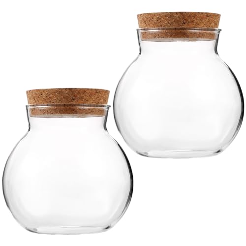 BESPORTBLE 10 STK Ökologische Mikrolandschaftsflasche Schüssel Anlage Luftpflanze Terrarium-kit Draussen Dekor Terrarienbuch Großes Terrarium Pflanzgefäße Birne Teranium Fisch Glocke Glas von BESPORTBLE