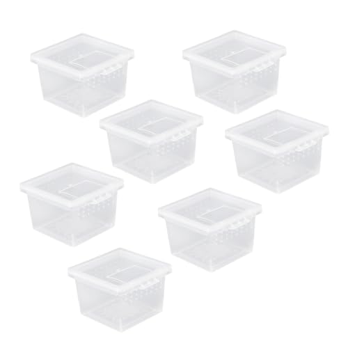 BESPORTBLE 10stücke Reptil Fütterungsbox Mini Behälter Für Spinnen Und Insekten Und Tragbares Terrarium Mit Belüftung Für Füttern Und Pflege BESPORTBLE 10stücke Reptil Fütterungsbox Mini Behälter Für Spinnen Und Insekten Und Tragbares Terrarium Mit Belüftung Für Füttern Und Pflege von BESPORTBLE