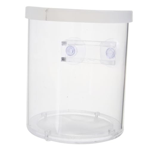 BESPORTBLE 1Stk Terrarium Aquarium Brutkasten Fischzuchtbox Fischbrutbehälter Brut zucht inkubator Aufzuchtbecken für Guppys Schwimmender Inkubator für Aquarien Fischversorgung Acryl Weiß von BESPORTBLE