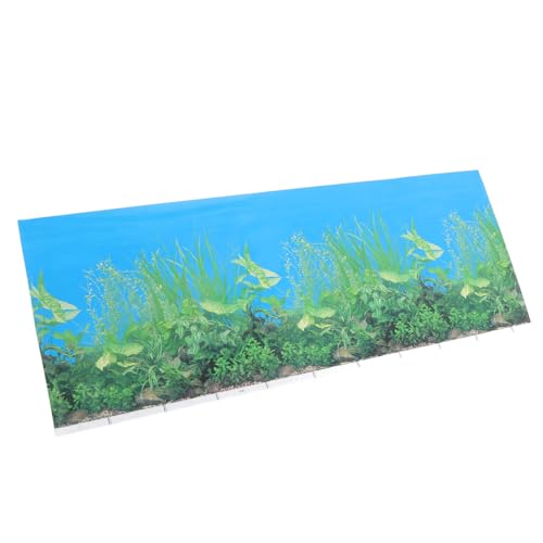 BESPORTBLE 1stk Aquarium Hintergrundpapier Film Aquarium- Aquarium-tapete Himmel Kühler Bild Aquarium-luftblasenstreifen-ausströmerstein Wasser Anlage Panzer Tauchfähig Ozeanaufkleber Uv von BESPORTBLE