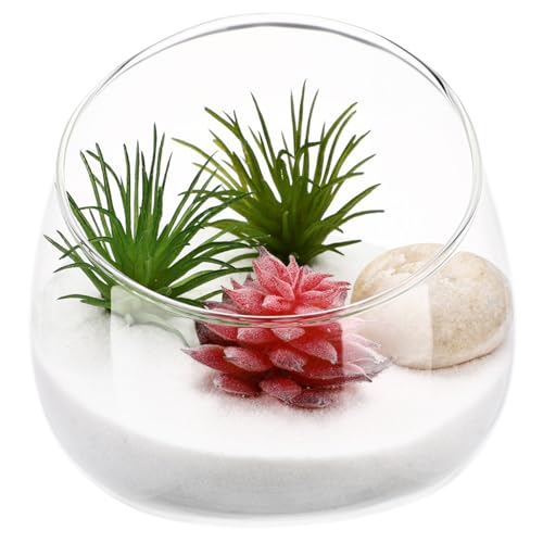 BESPORTBLE 1stk Saftiges Aquarienständer Ökosystem Terrarienglas Mit Deckel Luftpflanzenhalter Uv-licht Wassergläser Aquarium Blumenzwiebel Pflanzer Wasservase Blase Transparent von BESPORTBLE