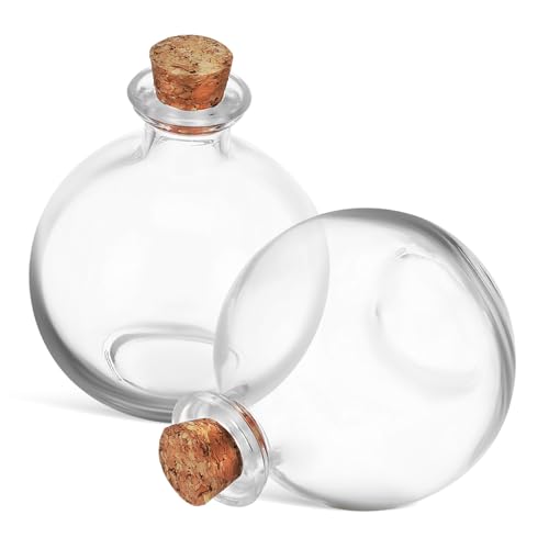 BESPORTBLE Stilvolle 250ml Glas Moos Flasche Flache Basis Pflanze Terrarium Glas Home Decor Landschaft Hydrokultur Pflanzen Container von BESPORTBLE