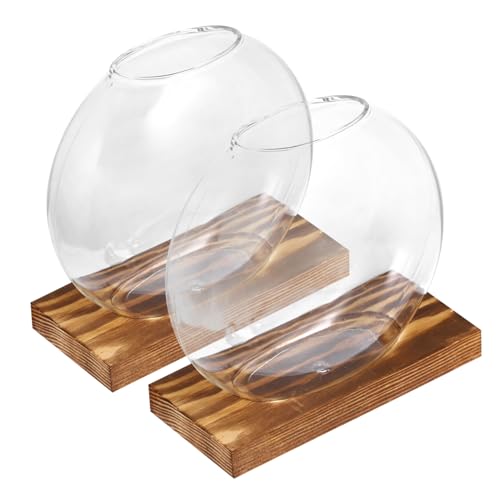 BESPORTBLE 2 Sätze Holzvase büro deko Office deko zimmerpflanzen Glasvasen-Set Terrarium mit Base Vasen Wohnkultur Anlage kleine Glasvasen Wandgarten drinnen Glas mit hohem Borosilikatgehalt von BESPORTBLE