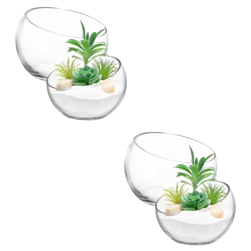 BESPORTBLE 2 Sätze Sukkulenter Hydroponikblüte -Terrarium Behälter Tank Sehen Glasvasen Glasschale Dekoschalen Blumenbank Grüne Pflanzenvase Kleine Blumenvasen Transparent 2 Stücke * 2 von BESPORTBLE