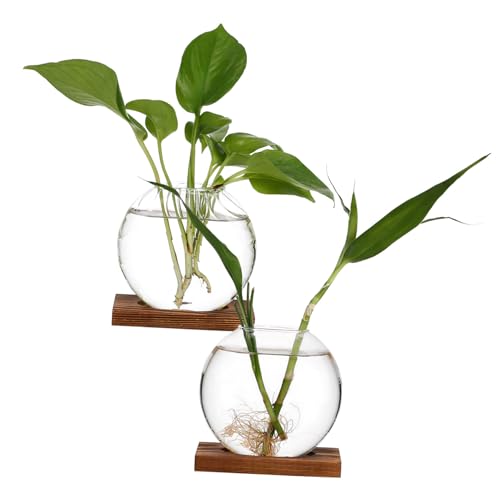 BESPORTBLE Glas-Terrarium-behälter-pflanzenhalter für Tafelaufsätze Elegante Blumentöpfe von BESPORTBLE