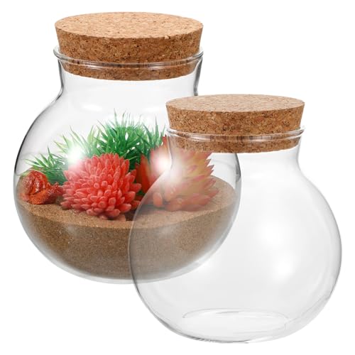 BESPORTBLE 2St Eco-Flasche lagercontainer blumenvasen eincremehilfe zimmerpflanzen Kugelpflanzen Terrarium Andenken Baum Pflanzenbehälter aus Moos ökologische Flasche Glas von BESPORTBLE